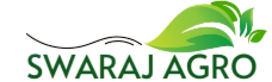 Mango Logo